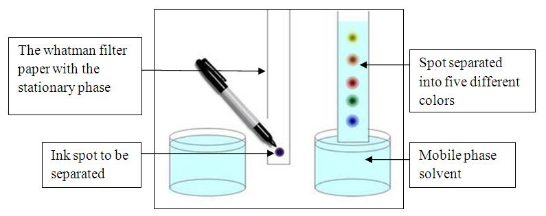 What is writing paper chromatography